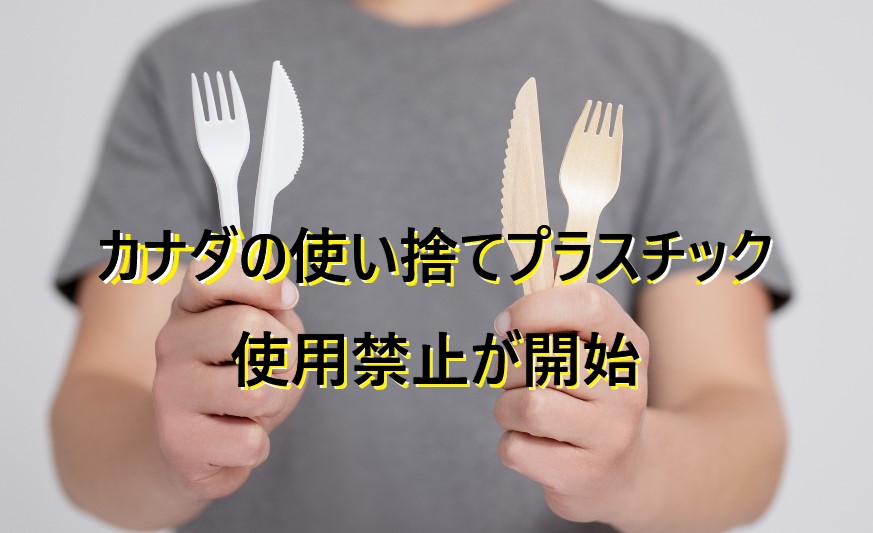 plastic-cutlery-dailyhive.com-0.jpg