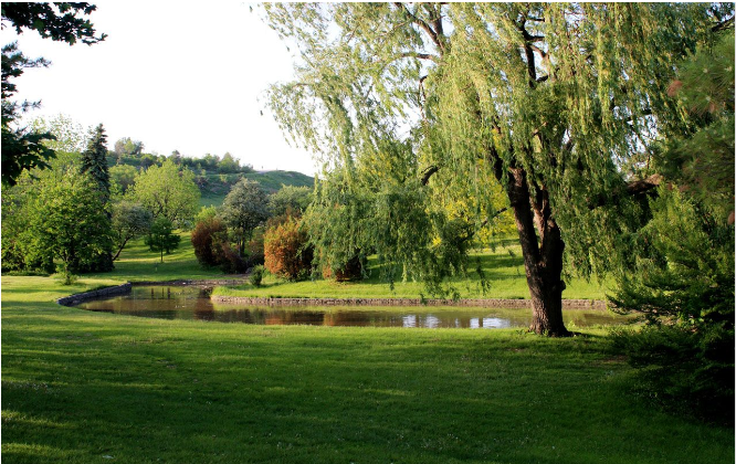 Centennial-Park-Etobicoke