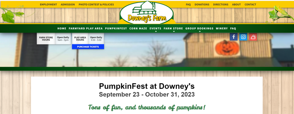 downeysfarm.com-downeys-farm-market-pumpkinfest-TOP